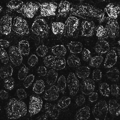 One Pass Edge Detection screenshot